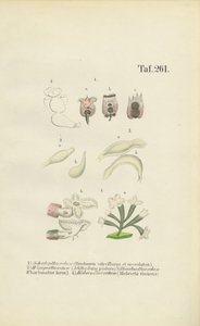  by J. W. Tenhaeff