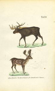  by J. W. Tenhaeff