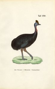  by J. W. Tenhaeff