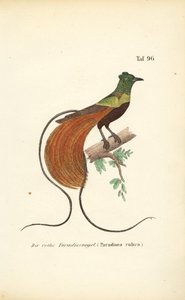  by J. W. Tenhaeff
