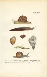  by J. W. Tenhaeff
