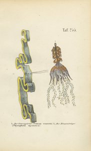  by J. W. Tenhaeff