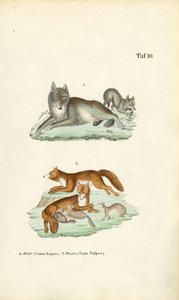  by J. W. Tenhaeff
