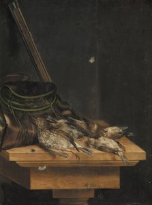 ölü kuşlar by Jacob Biltius