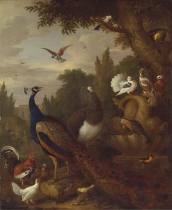Bir parkta tavus kuşu, peahen, papağan, kanarya ve diğer kuşlar by Jacob Bogdani