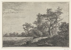 mısır tarlası by Jacob van Ruisdael