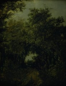 Meşe Ormanında Yol by Jacob van Ruisdael