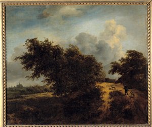 Jacob Isaakszoon van Ruisdael (Ruysdael) (1628-1682) tarafından yapılan çalı boyama 17. yüzyıl Güneş. 0,68 x 0,82 m by Jacob van Ruisdael