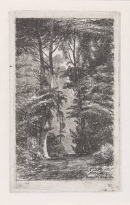 boslaanca by Jacob Jan van der Maaten
