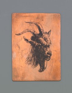 Bir keçi başkanı by Jacob Maris