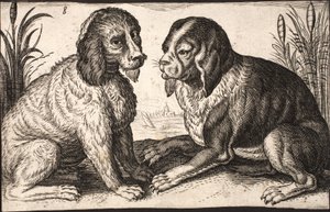 Bir göl kenarında iki köpek by Jacob Matham