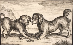 iki küçük köpek by Jacob Matham