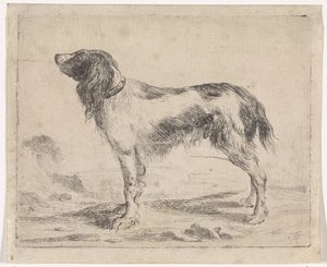 ayakta köpek Köpekler (dizi adı)