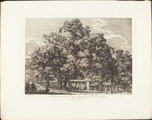 Monte Testaccio
