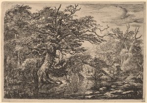 Bir Bankada Gezginlerle Bir Orman Bataklığı (Gezginler) by Jacob van Ruisdael