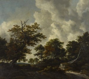  by Jacob van Ruisdael