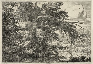 Bir Tepenin Üstünde Yazlık by Jacob van Ruisdael