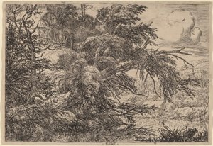 Bir Tepede Yazlık by Jacob van Ruisdael