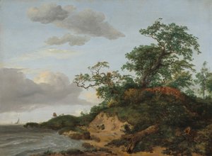Deniz kenarındaki kum tepeleri by Jacob van Ruisdael