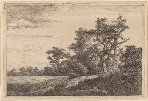 Bir Ağacın Kenarında Tahıl Tarlası (Mısır Tarlası) by Jacob van Ruisdael