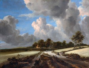 buğday tarlaları by Jacob van Ruisdael