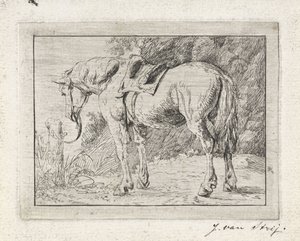 Bir direğe bağlı eyerli at by Jacob van Strij