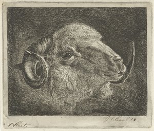 Boynuzlu bir koç başı geri döndü by Jacobus Cornelis Gaal (signed by artist)