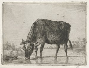 içme ineği by Jacobus Cornelis Gaal