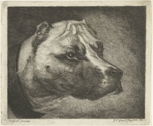 Yakalı köpek kafası by Jacobus Cornelis Gaal