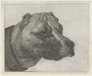 Yakalı köpek kafası by Jacobus Cornelis Gaal