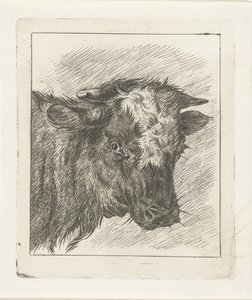 Beyaz col ile bir inek başkanı by Jacobus Cornelis Gaal