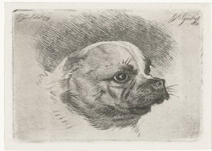Bir pug başkanı by Jacobus Cornelis Gaal