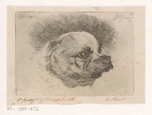 Bir pug başkanı by Jacobus Cornelis Gaal