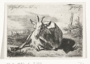 Yalancı keçi, sola by Jacobus Cornelis Gaal