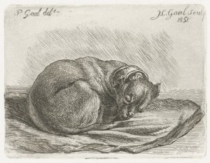 Uyuyan köpek, battaniyenin üzerinde yatıyor by Jacobus Cornelis Gaal
