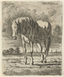 Beyaz at by Jacobus Cornelis Gaal