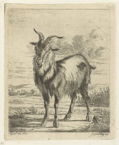 ayakta keçi by Jacobus Cornelis Gaal