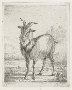 ayakta keçi by Jacobus Cornelis Gaal