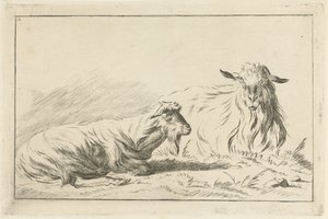 iki yalancı keçi by Jacobus Cornelis Gaal
