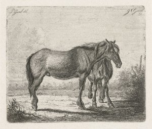 İki at by Jacobus Cornelis Gaal