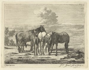 Dört at ve iki tay by Jacobus Cornelis Gaal