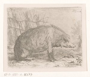 oturan yaban domuzu by Jacobus Cornelis Gaal