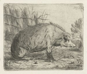 oturan yaban domuzu by Jacobus Cornelis Gaal