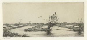 Veenplas