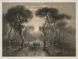 A. Calame'nin İşleri, No. 13: Valais'deki Sierre Ormanı by Jacomme and Cie. R. de Lancry, 12, Paris