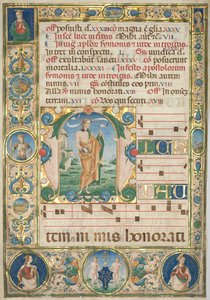Kademeli Yaprak: İlk Harf (M) ve St. Andrew (rekto) by Jacopo Filippo d