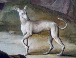 Köpek, Jacopo Guarana (1720-1808), Villa Contarini