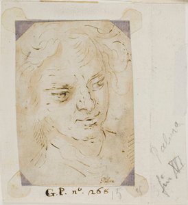 Bir Adamın Başı by Jacopo Palma il Giovane