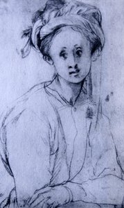  by Jacopo Pontormo