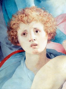 Jacopo da Pontormo (1494-1557) tarafından genç adamın yüzü, İfadenin detayı by Jacopo Pontormo